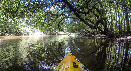 Lynches River with Lowcountry Unfiltered-61