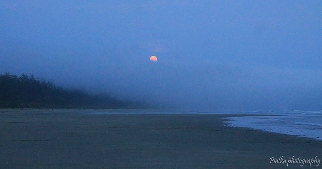 Full moon rising over Long Beach in beautiful Tofino British Columbia!