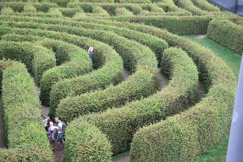 ogrody tematyczne hortulus dobrzyca garden plant labyrinth plants