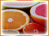 Citrus x paradisi (Grapefruit, Paradise Citrus)