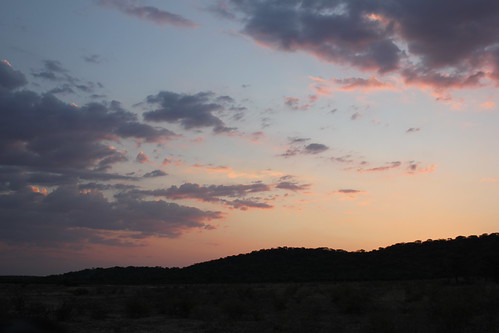 africa namibia ongava safari travel nature clouds sky light evening sunset