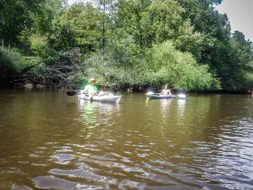 friendfield kayaking lcu lowcountryunfiltered lynchesriver paddling scranton southcarolina unitedstates us