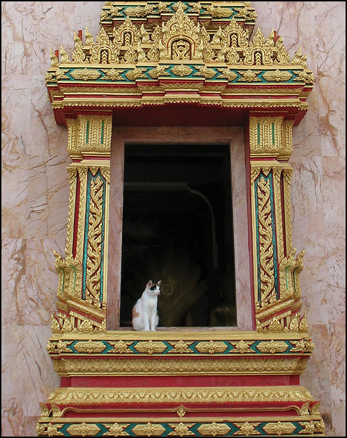 Chalong temple is the largest temple inwards Phuket as well as I last on to overstep yesteryear regularly inwards the minute Bangkok Map; Early Morning at Chalong Temple