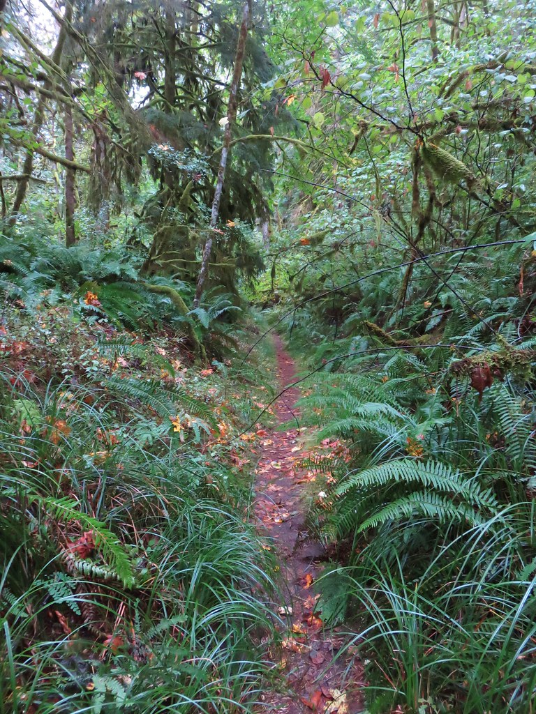 Trail in Oxbow Park