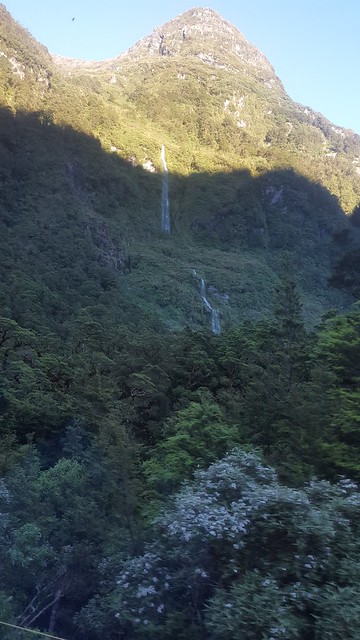 Doubtful Sound. Pequeña ruta por Kepler Track. - NUEVA ZELANDA. POR LA TIERRA DE LA LARGA NUBE BLANCA (23)