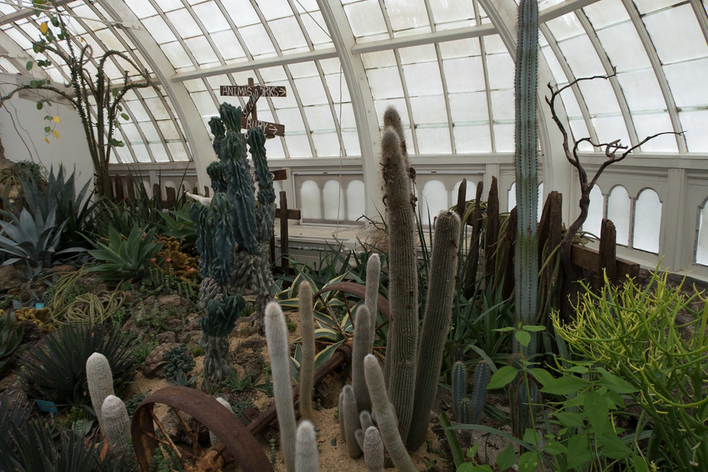 Inside San Francisco Botanical Garden