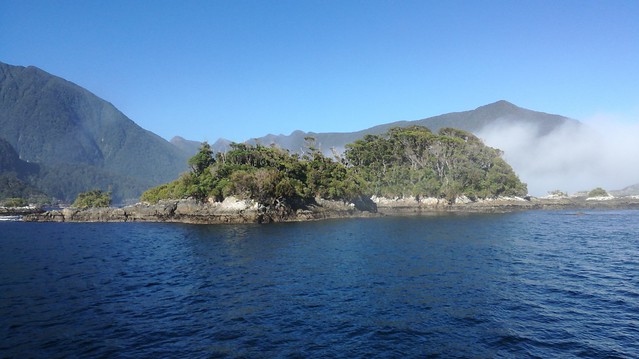 Doubtful Sound. Pequeña ruta por Kepler Track. - NUEVA ZELANDA. POR LA TIERRA DE LA LARGA NUBE BLANCA (34)