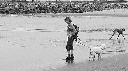 santaanariver newportbeach california photo digital summer river estuary dogwalker dogs poodles littledoglaughedstories