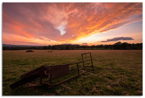 upleadon gloucestershire sheep rust d600 2017 sunset ngc nikonfxshowcase nikkor1635mmf4 sky animal farm outdoor