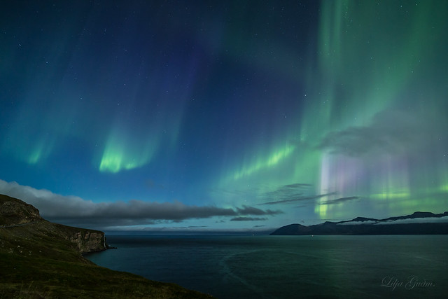 Aurora Borialis Eyjafjordur Ólafsfjarðarmúli.