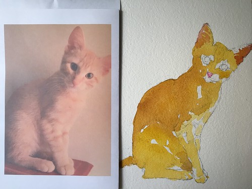 Step by step watercolor kitty