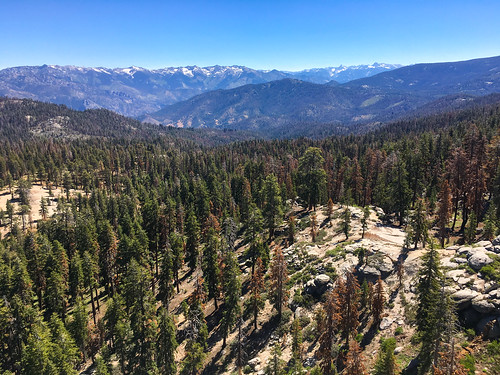 hume california unitedstates sierranevada sequoianationalforest buckrock firelookout