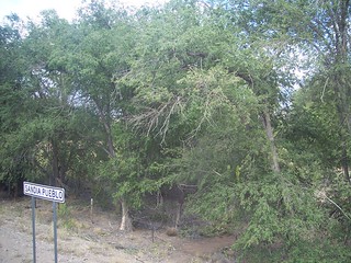 Sandia Pueblo