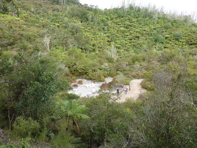 Orakei Korako: "El Valle Oculto" de Nueva Zelanda - NUEVA ZELANDA. POR LA TIERRA DE LA LARGA NUBE BLANCA (25)