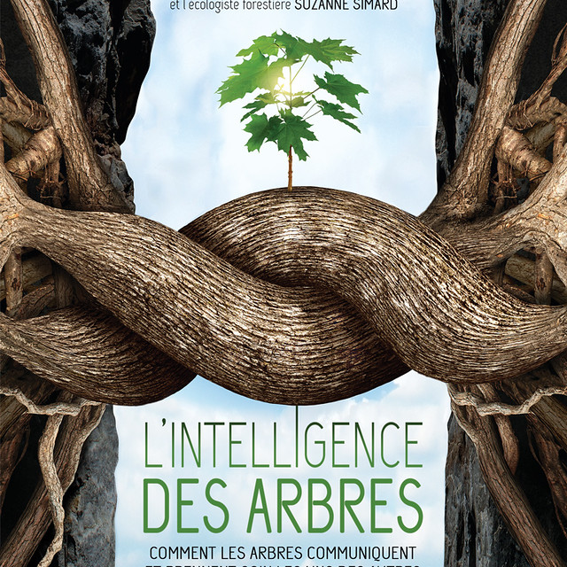 L'intelligence des arbres