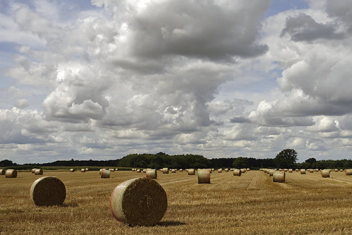 north tuddenham field crop farm farming moody sky clouds countryside hay bale straw england norfolk landscape harvest