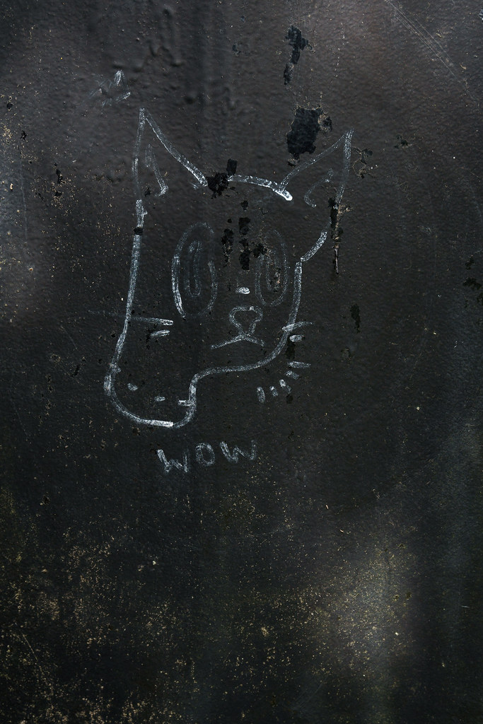 Graffiti of a cat on a bridge post near the Chattahoochee River in Atlanta, Georgia