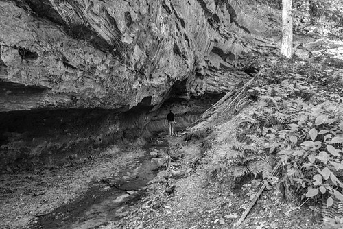 nikond610 afsnikkor1635mmf4gedvr oliverleverittphotography wideangle monochrome blackandwhite nature formation wildcatden state park muscatine iowa