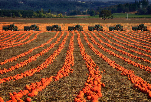 ian sane images autumnfields pumpkins farm equipment field mount angel oregon landscape photography agriculture canon eos 5ds r camera ef70200mm f28l is usm lens