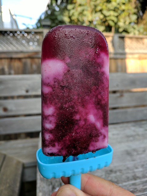 Blueberry Buttermilk Ice Pops