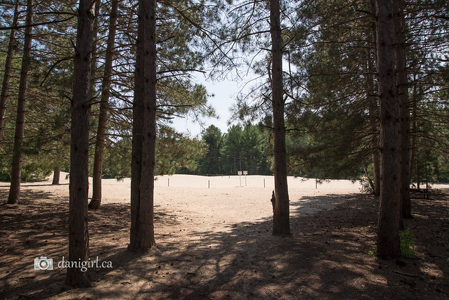 Ottawa's hidden sand dunes