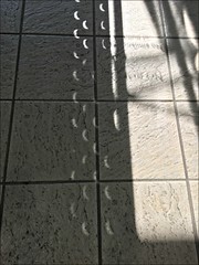 Multiple eclipse images