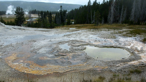 The Colours of Yellowstone
