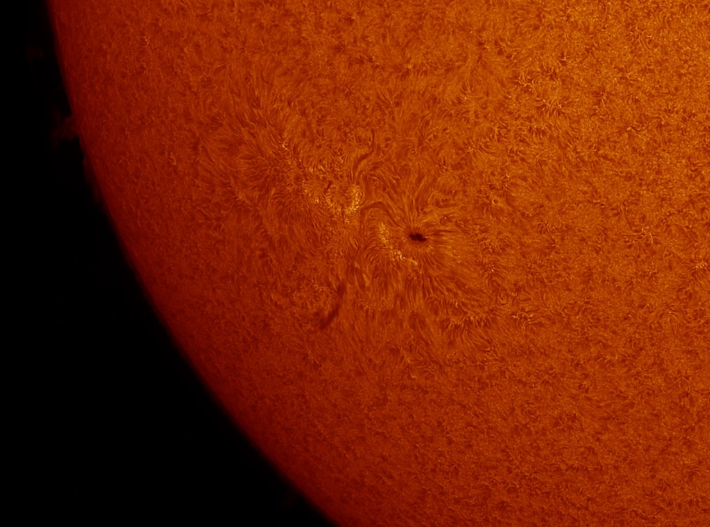 Sunspot AR2681 in Hydrogen Alpha, GT102, Daystar Quark, 23/09/17