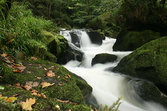 Golitha Falls