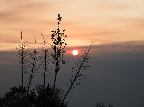 sunrise corrales newmexico
