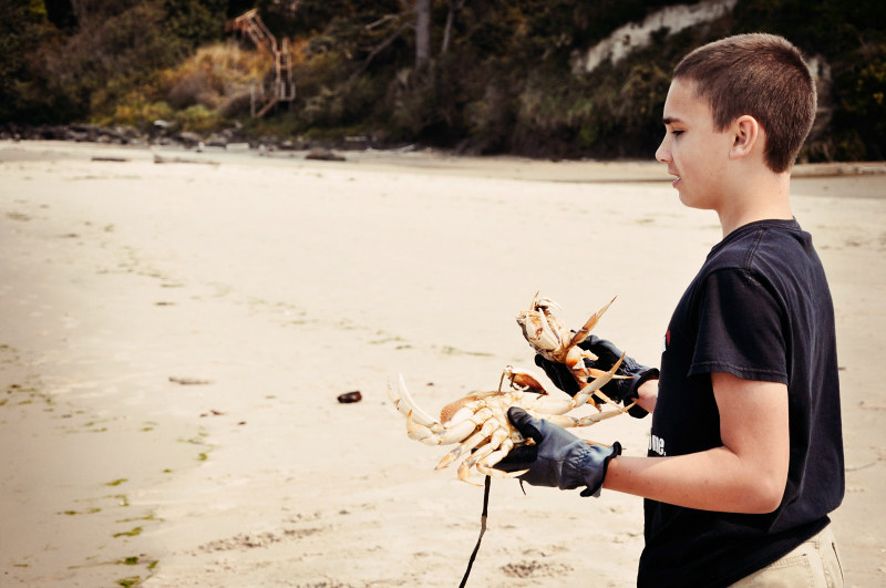 Crabbing (3) @ Mt. Hope Chronicles