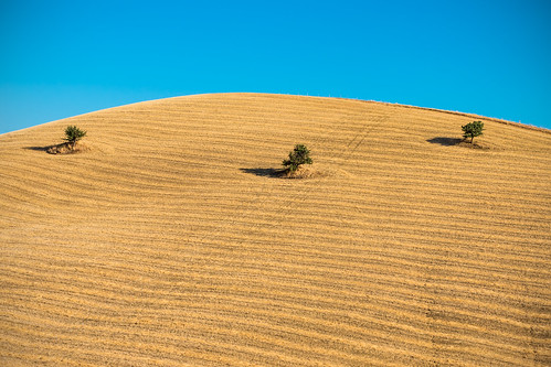 sicily sicilia sicili trinacria minimal ondablv clear colline hill hills centre centro grano campi coltivati paesaggio