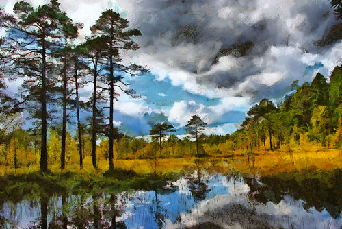 digital kalevvask postprocessed photoshop photomanipulation digiart photoart painterly artistic creative estonia autumn forest ownphoto phototopainting bog trees swamp clouds manipulated