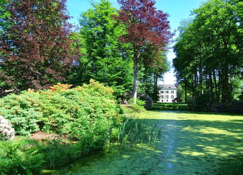 Doorn House grounds and pond. Credit Ben Bender