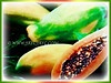 Carica papaya (Papaya, Papaw, Pawpaw, Melon Tree, Betik in Malay)