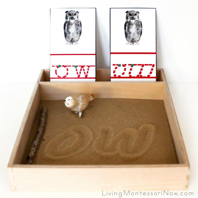 Owl and "ow" Phonogram Sand Tray