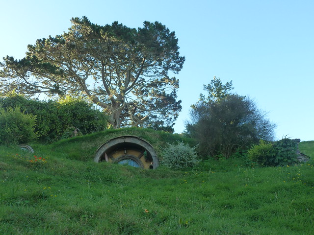 Waitomo – Hobbiton - Llegada a Rotorua - NUEVA ZELANDA. POR LA TIERRA DE LA LARGA NUBE BLANCA (21)