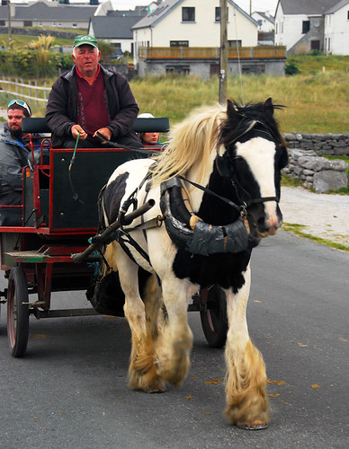 A horse cart is one way to get to the shipwreck on the Aran Island of Inisheer in Ireland