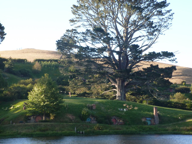 NUEVA ZELANDA. POR LA TIERRA DE LA LARGA NUBE BLANCA - Blogs de Nueva Zelanda - Waitomo – Hobbiton - Llegada a Rotorua (15)