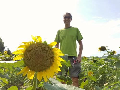 Rudi and the Sunflower