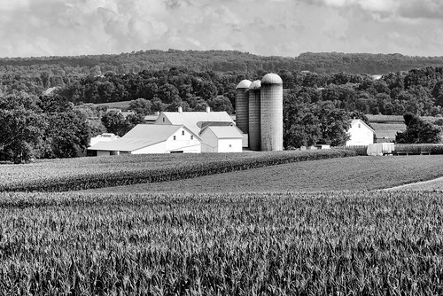 pennsylvania corn farm barn trees landscape silo