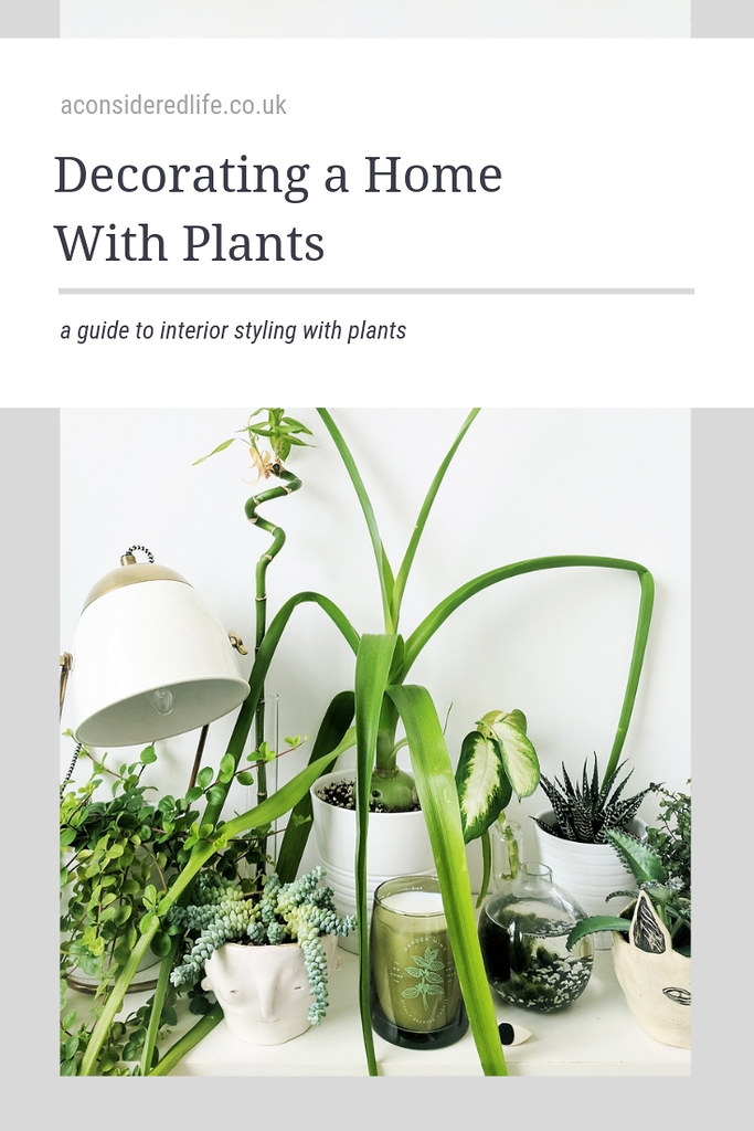 The Best Ways To Display Indoor Plants