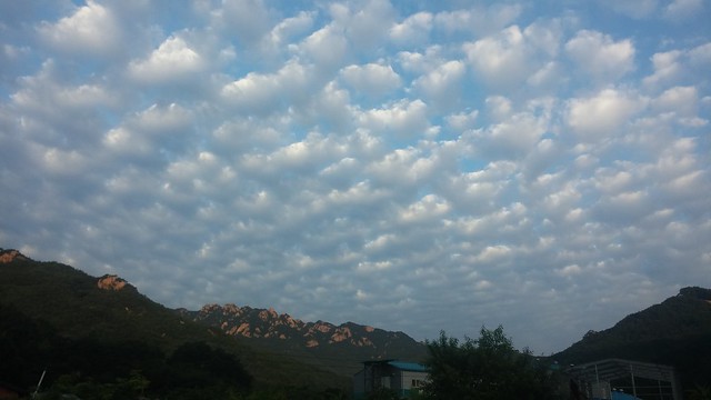 구름 버섯 가득한 아침 하늘
