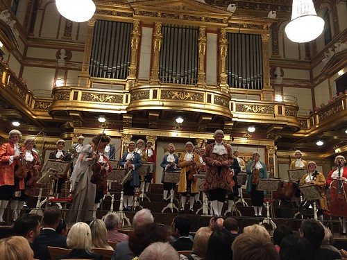 Try the Viennese opera for a unique cultural experience