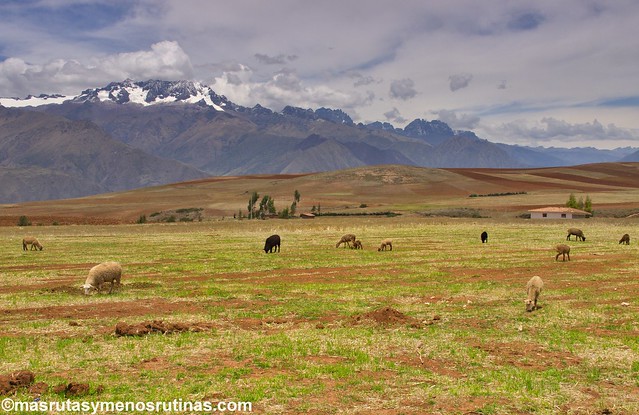 Por las escaleras de PERÚ - Blogs de Peru - Chinchero, Maras y Moray: paisajes, artesanía, tierra y sal (8)