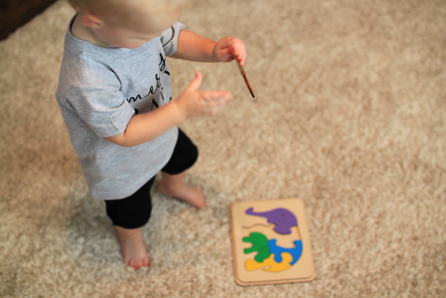 Montessori Learning with a Toddler
