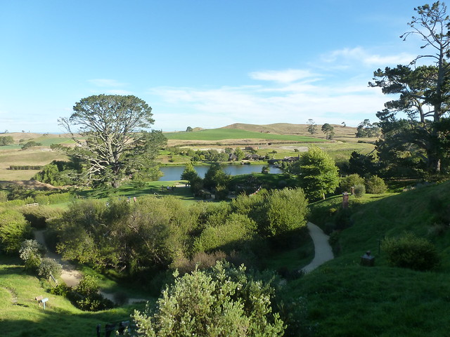 NUEVA ZELANDA. POR LA TIERRA DE LA LARGA NUBE BLANCA - Blogs de Nueva Zelanda - Waitomo – Hobbiton - Llegada a Rotorua (20)