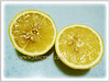 Citrus limon (Lemon)