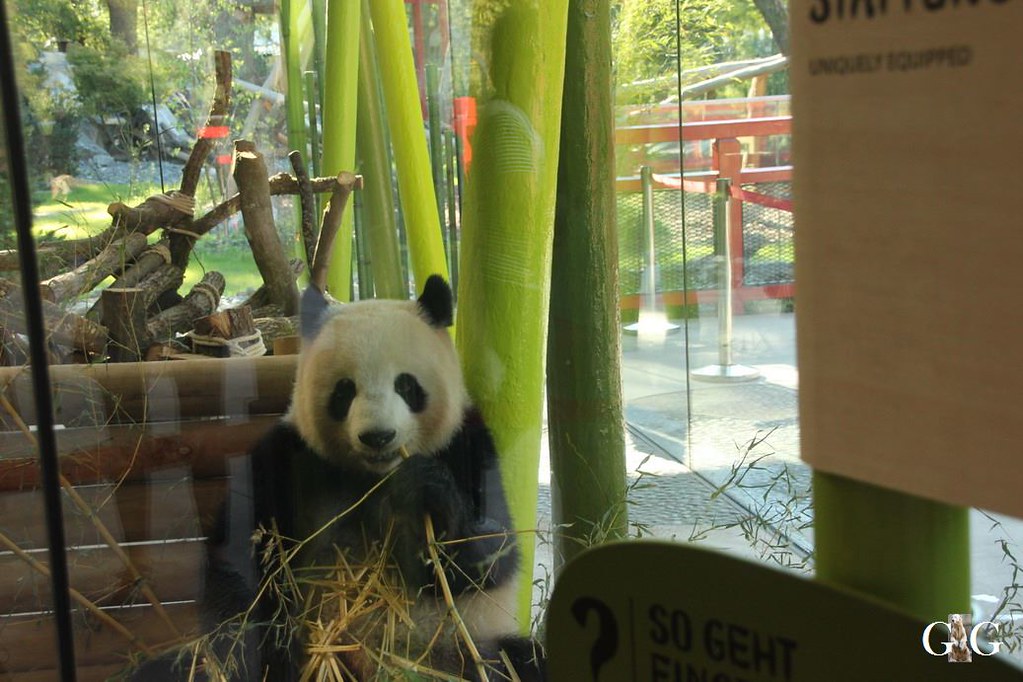 Besuch Zoo Berlin 07.08.20177