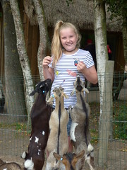 Cerza Zoo - feeding goats (4) - Photo of Le Faulq